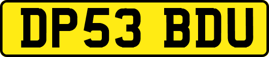 DP53BDU