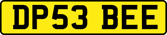 DP53BEE