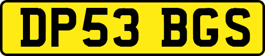 DP53BGS