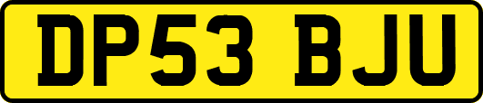 DP53BJU