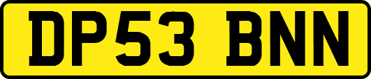 DP53BNN