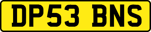 DP53BNS