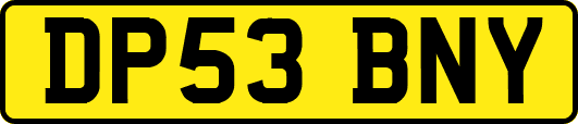 DP53BNY