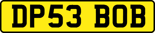 DP53BOB