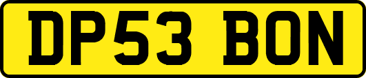 DP53BON