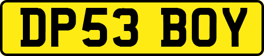 DP53BOY
