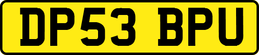 DP53BPU