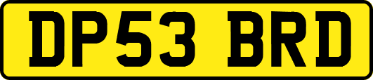 DP53BRD