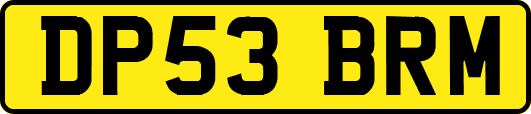 DP53BRM