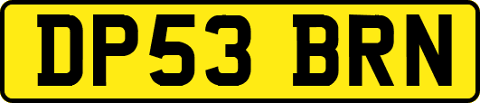DP53BRN