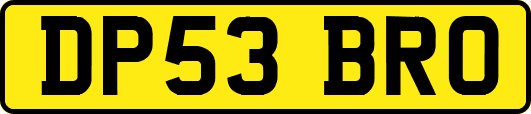 DP53BRO