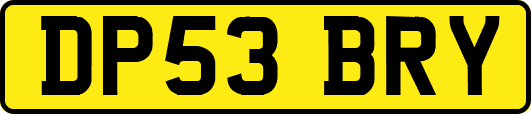 DP53BRY