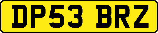DP53BRZ