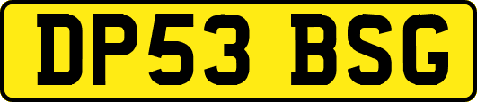 DP53BSG
