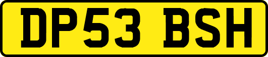 DP53BSH