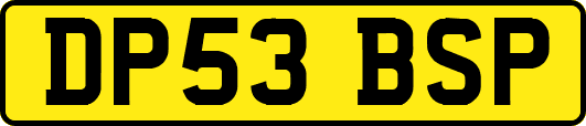 DP53BSP