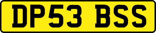 DP53BSS
