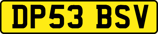 DP53BSV