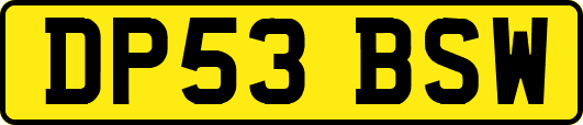 DP53BSW