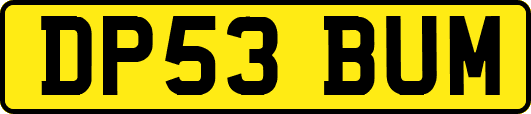 DP53BUM