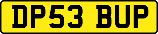 DP53BUP