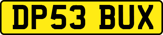 DP53BUX