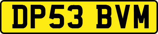 DP53BVM