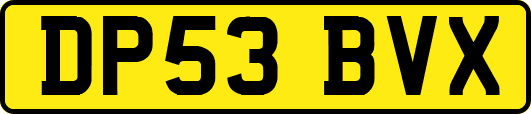 DP53BVX