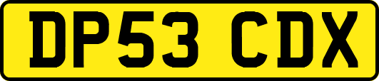 DP53CDX