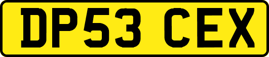DP53CEX