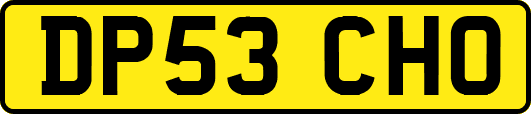 DP53CHO