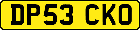 DP53CKO
