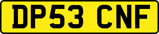DP53CNF