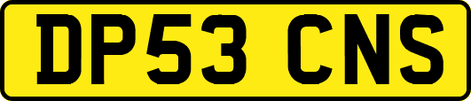 DP53CNS