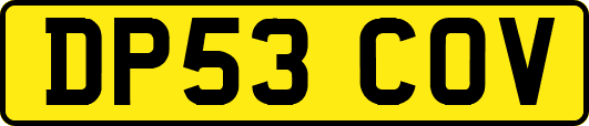 DP53COV