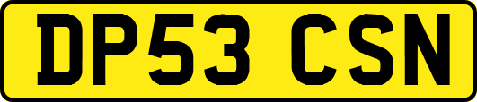 DP53CSN