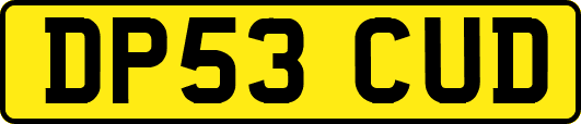 DP53CUD