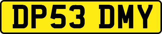 DP53DMY