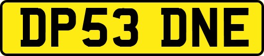 DP53DNE