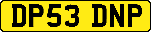 DP53DNP