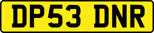 DP53DNR