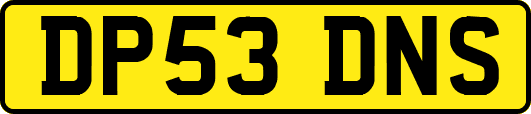 DP53DNS