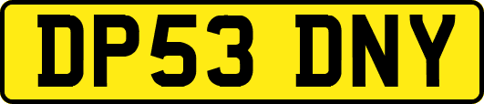 DP53DNY