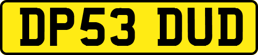 DP53DUD