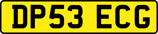 DP53ECG