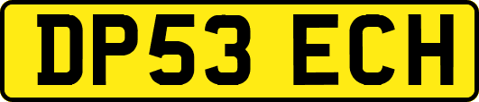 DP53ECH