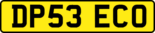 DP53ECO
