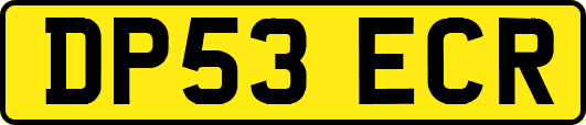 DP53ECR