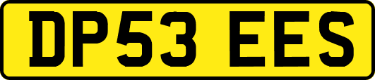 DP53EES
