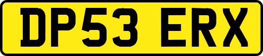 DP53ERX